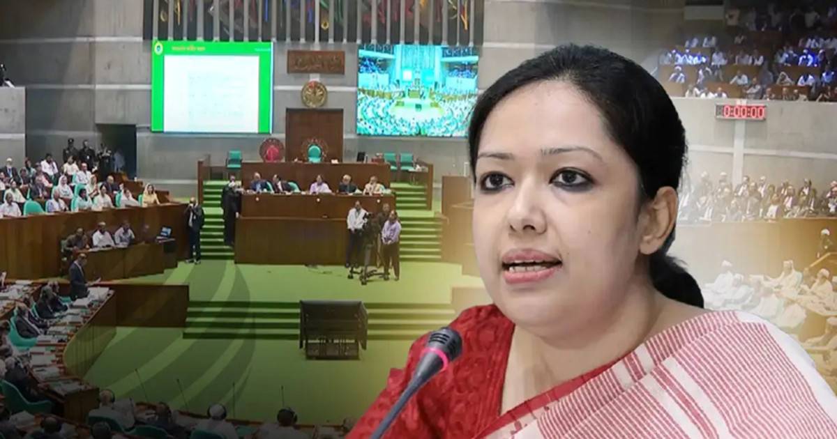 বিএনপি ক্ষমতায় এলে গ্যাস-বিদ্যুৎ-সারের সংকট হবে না, তা হতে পারে না: রুমিন ফারহানা