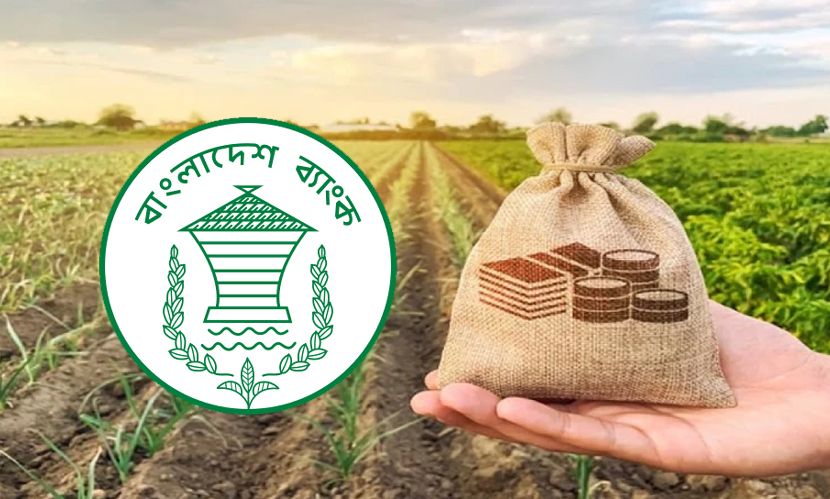 ১০ হাজার কোটি টাকার কৃষিঋণ: দ্রুত বিতরণে জোর, অনিয়মের ঝুঁকি নিয়ে উদ্বেগ