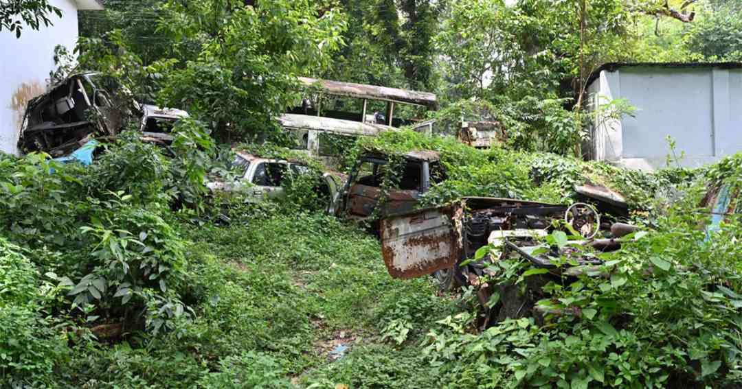 সিআরবিতে পরিত্যক্ত সরকারি গাড়ি, লতাপাতায় ঢেকে যাচ্ছে কোটি টাকার সম্পদ