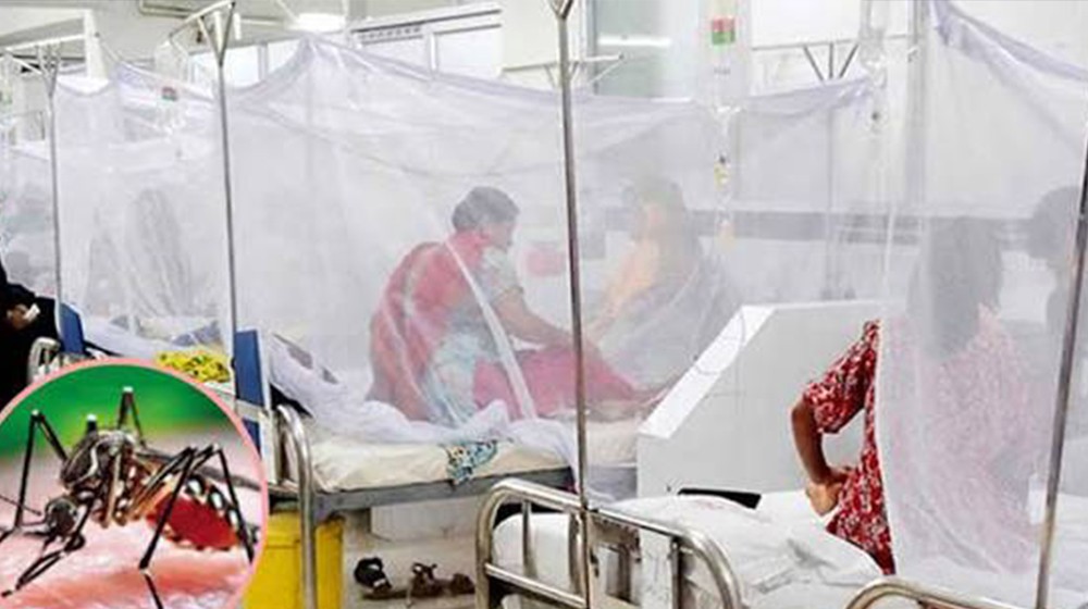 ডেঙ্গুতে আরও ৩ মৃত্যু, ২৪ ঘণ্টায় হাসপাতালে ১ হাজার ৪৩২